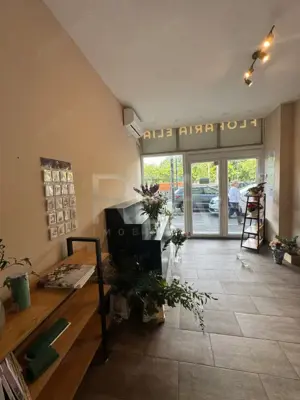 SPATIU STRADAL 25 mp MIHAI BRAVU - OBOR - imagine 3