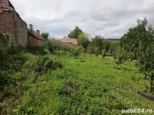teren de vanzare in sat dostat - imagine 2