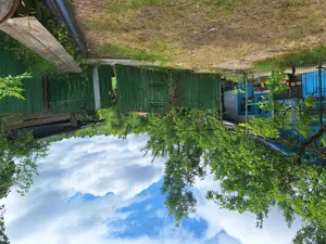 Vând casa  plus teren - imagine 8 Vând casa  plus teren - imagine 8