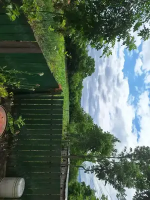 Vând casa  plus teren - imagine 2 Vând casa  plus teren - imagine 2