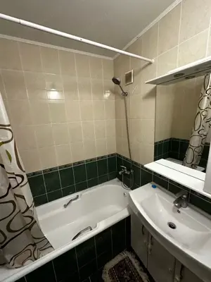 De inchiriat  apartament cu 2 camere in zona Aradului - imagine 3