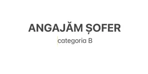 Firma constructii-angajam sofer