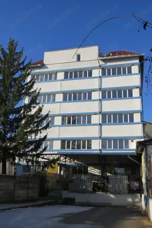 Oferta vanzare cladire industriala in Curtea de Arges, 700000 euro - imagine 3