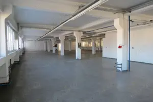 Oferta vanzare cladire industriala in Curtea de Arges, 700000 euro - imagine 7