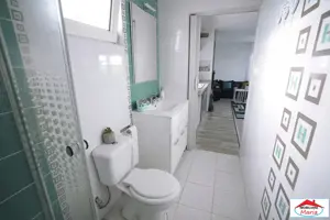 Casa cu teren 10 arii cu casa pe cadre metalice zona Panait Cerna - imagine 11