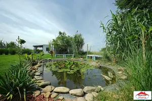 Casa cu teren 10 arii cu casa pe cadre metalice zona Panait Cerna - imagine 4