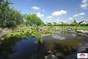 Casa cu teren 10 arii cu casa pe cadre metalice zona Panait Cerna - imagine 9