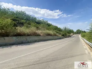 Casa de vanzare in Paclisa - Alba Iulia - imagine 6