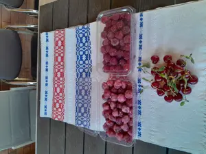 GEM si Dulceata - imagine 3