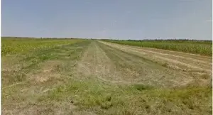 Teren extravilan cota parte 1/3 Cernatesti , ID: R2586146 - imagine 4 Teren extravilan cota parte 1/3 Cernatesti , ID: R2586146 - imagine 4