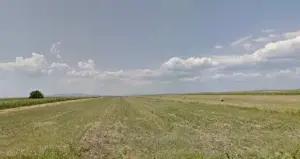 Teren extravilan cota parte 1/3 Cernatesti , ID: R2586146 - imagine 3 Teren extravilan cota parte 1/3 Cernatesti , ID: R2586146 - imagine 3