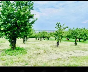 Teren de vanzare- Livada de ciresi