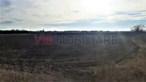 Otopeni - teren intravilan, ideal investitie.