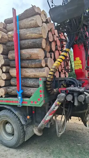 Lemn de foc - imagine 2