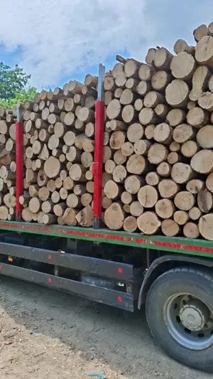 Lemn de foc - imagine 4