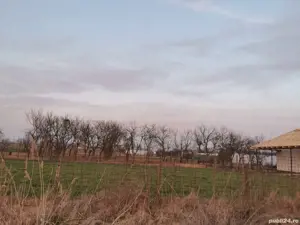 Vand teren intravilan Boghis - imagine 3