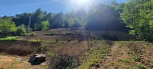 Teren cu casă vaiog Nistru.