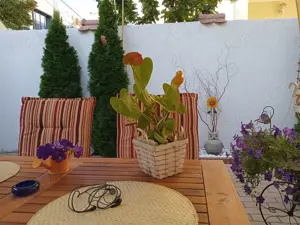 Proprietari vand casuta cocheta si ingrijita zona Dorobanti - imagine 8