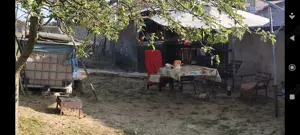 CASĂ DE VÂNZARE   Esechioi, Ostrov, jud. Constanța   2185 mp teren - imagine 3