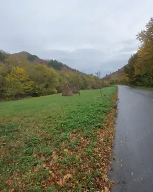 Teren de vanzare -5.500 m - cu deschidere la drumul spre Transapuseana