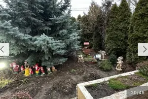 Casa Albert Luca - imagine 4