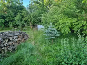 VAND URGENT casa + teren 1200mp - imagine 5