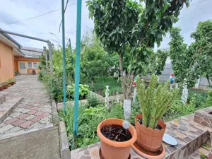 Casa cu 5 camere la 500 metri de LIDL piata centru - imagine 3