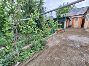 Casa cu 5 camere la 500 metri de LIDL piata centru - imagine 8