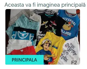 Set haine băieți 2-3 ani, tricouri, pantaloni scurți, cod F2