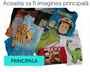 Set haine baieti vara, 2-3 ani, tricouri, pantaloni, cod F1