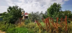 teren strada pasarani colentina fundeni - imagine 6