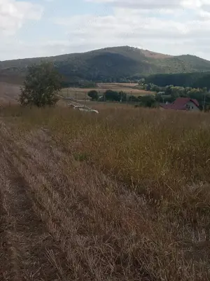 Teren extravilan 1500 mp (viitor intravilan) loc. Telita, comuna Frecatei, jud. Tulcea - imagine 3