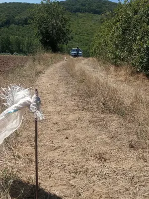 Teren extravilan 1500 mp (viitor intravilan) loc. Telita, comuna Frecatei, jud. Tulcea - imagine 4