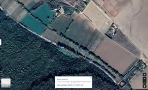 Teren extravilan 1500 mp (viitor intravilan) loc. Telita, comuna Frecatei, jud. Tulcea - imagine 5