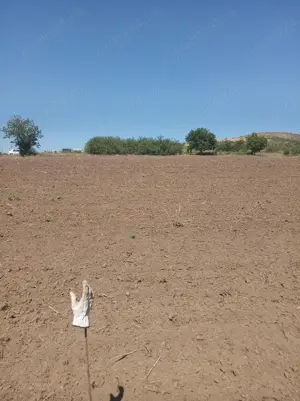 Teren extravilan 1500 mp (viitor intravilan) loc. Telita, comuna Frecatei, jud. Tulcea - imagine 8