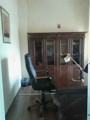 Casa cu arhitectura deosebita ,zona buna pentru birouri - imagine 5