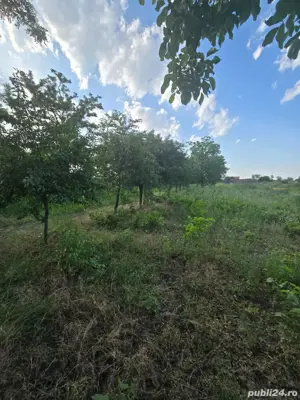 vand teren intravilan!