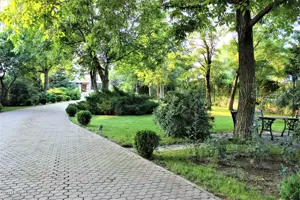 Buftea teren superb 750 mp 41x18,4ml, tei nuci ciresi japonezi mesteceni + AC imobil P+E