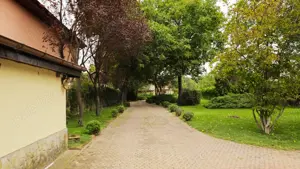 Buftea teren superb 800mp pe colt 45x18,5ml lotizare posibila +AConstr P+E tei nuci mesteceni ciresi