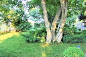 Buftea teren superb 800mp 40x20ml posibila dezmembrare include AConstruire P+E - imagine 4