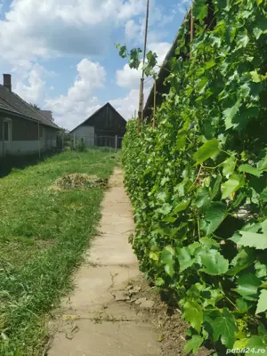 Vand casa - imagine 2