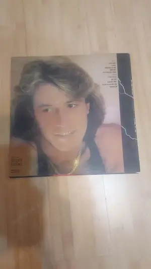 disc vinil Andy Gibb