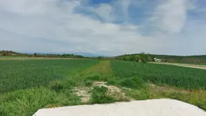 Teren de vanzare in Dealul Mare,localitatea Galicea  - imagine 4
