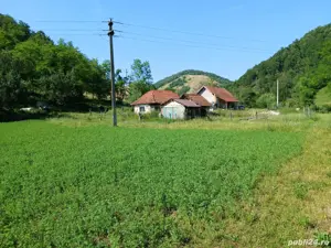 vând casă in satul Visca jud Hunedoara  - imagine 2