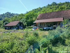 vând casă in satul Visca jud Hunedoara  - imagine 4