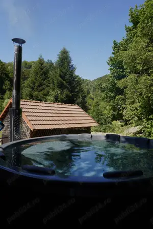 Casa de Vacanță  Diana , Moneasa Jud. Arad - imagine 2