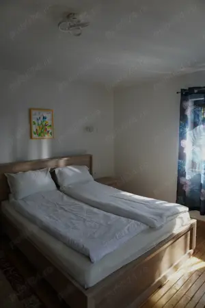 Casa de Vacanță  Diana , Moneasa Jud. Arad - imagine 4