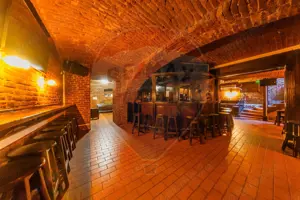 Spațiu comercial Ultracentral Piața Avram Iancu