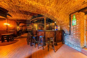 Spațiu comercial Ultracentral Piața Avram Iancu - imagine 3