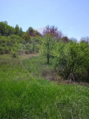 Teren intravilan de vânzare – Hula Baznei, 800 mp - imagine 3